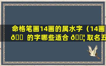 命格笔画14画的属水字（14画 🐠 的字哪些适合 🐦 取名五行属水）